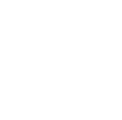 BRAND ITEM